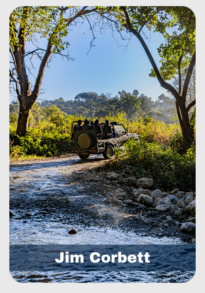 jim corbett